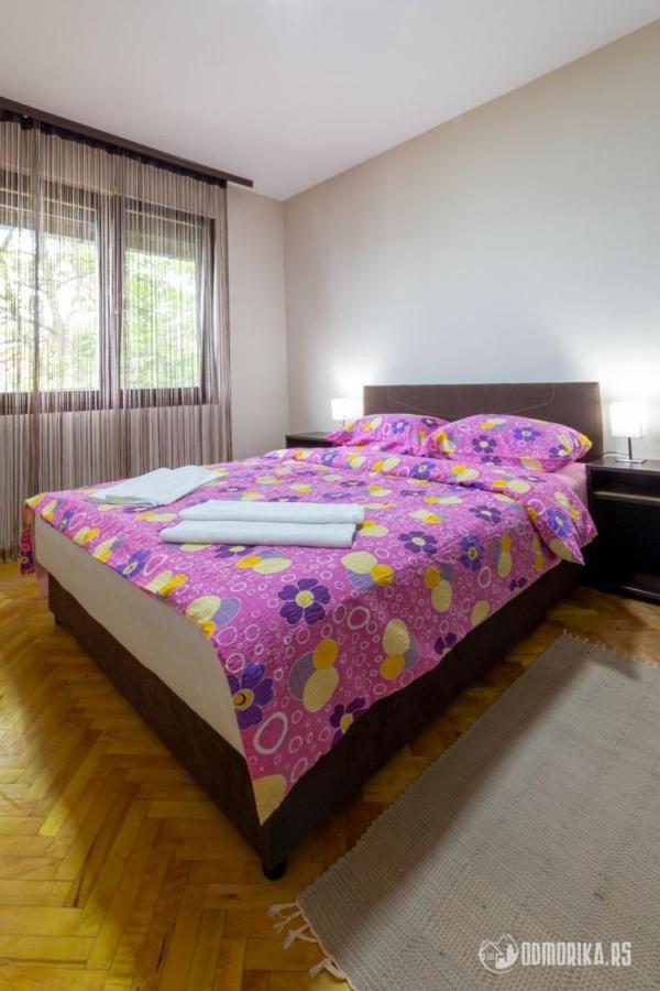 Apartmani Nina S Bajina Basta Kültér fotó